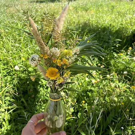 Casa Do Sol Wellness 빌라 오비도스