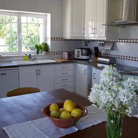 빌라 Casa Do Sol Wellness 오비도스