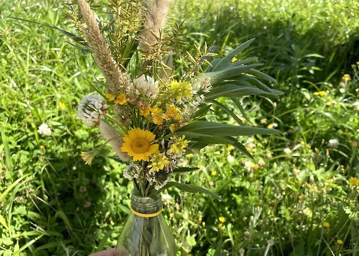 Casa Do Sol Wellness ヴィラ オビドス